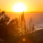 Sunshine Vista