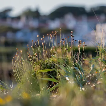 Lägenhet Sunshine Vista Vilamoura