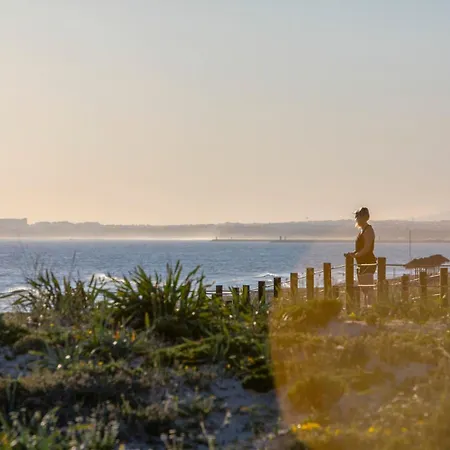Sunshine Vista *