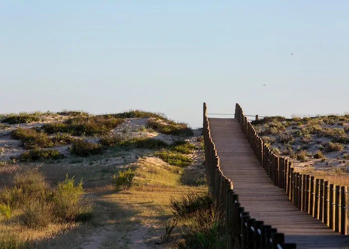 Sunshine Vista 公寓 *