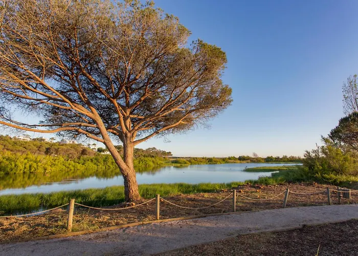 公寓 Sunshine Vista