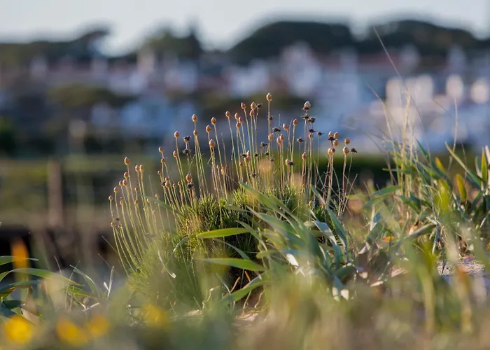 公寓 Sunshine Vista 维拉摩拉