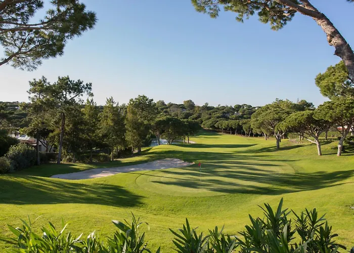 Sunshine Vista 公寓 *