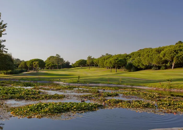 公寓 Sunshine Vista 维拉摩拉