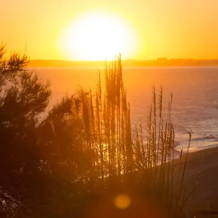 Sunshine Vista