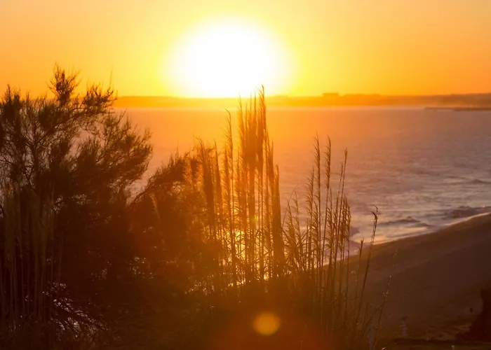 Sunshine Vista